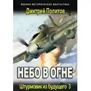 Постер книги Штурмовик из будущего-3