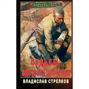 Постер книги Судьбы местного значения