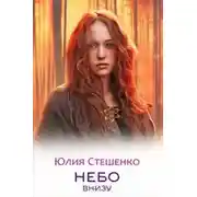 Постер книги Небо внизу