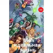 Постер книги Моя идеальная жизнь