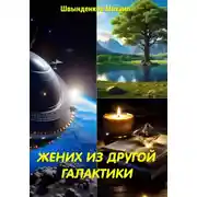 Постер книги Жених из другой галактики