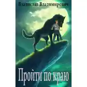 Постер книги Пройти по краю