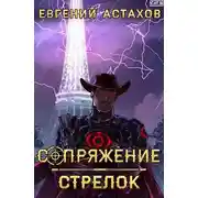 Постер книги Стрелок