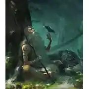 Постер книги Друид, Гарри и не канон