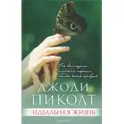 Постер книги Идеальная жизнь