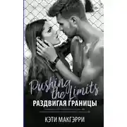 Постер книги Раздвигая границы