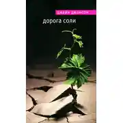 Постер книги Дорога соли