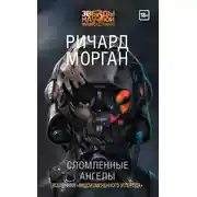 Постер книги Сломленные ангелы