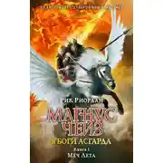 Постер книги Меч Лета