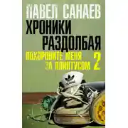 Постер книги Хроники раздолбая