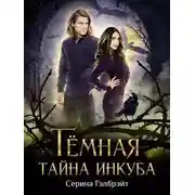 Постер книги Темная тайна инкуба