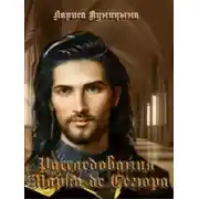 Постер книги Дело о стрелах возмездия