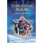 Постер книги Сущность северного сияния