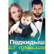Постер книги Подкидыш из прошлого