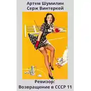 Постер книги Ревизор: возвращение в СССР 11