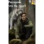 Постер книги Рысюхин, что ты пил?!
