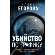 Постер книги Убийство по графику