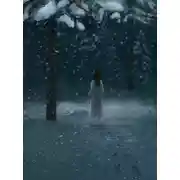 Постер книги Северные истории. Книга II. Потерянная жена