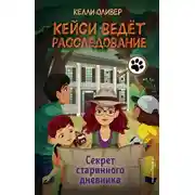 Постер книги Секрет старинного дневника