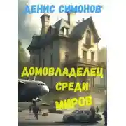 Постер книги Домовладелец среди миров