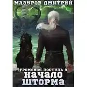 Постер книги Начало шторма