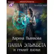 Постер книги Панна Эльжбета и гранит науки