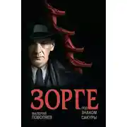 Постер книги Космический рейдер "Нибелунг"