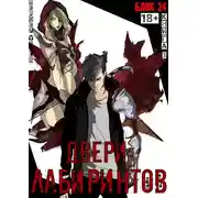 Постер книги Двери лабиринтов