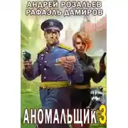 Постер книги Аномальщик 3