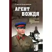 Постер книги Агент вождя