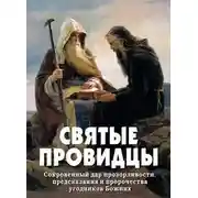 Постер книги Святые провидцы
