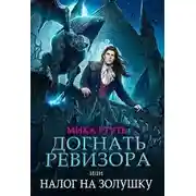 Постер книги Догнать ревизора, или налог на Золушку