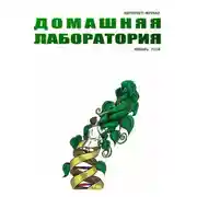 Постер книги Интернет-журнал "Домашняя лаборатория", 2008 №1