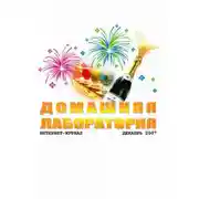 Постер книги Интернет-журнал "Домашняя лаборатория", 2007 №12