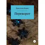 Постер книги Переворот