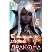Постер книги Тринадцать эльфиек для ДРАКОНА. Том 5
