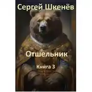 Постер книги Отшельник Книга 3
