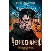 Постер книги Зеркальные врата теней