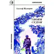 Постер книги Своим судом