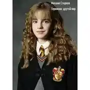 Постер книги Гермиона: другой мир