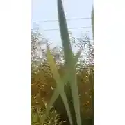 Постер книги Грустное начало попаданства