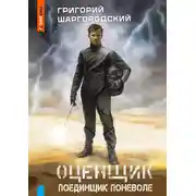 Постер книги Оценщик. Поединщик поневоле