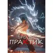 Постер книги Вроде практик