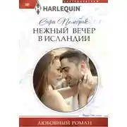Постер книги Нежный вечер в Исландии