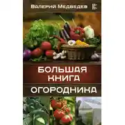 Постер книги Большая книга огородника