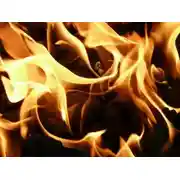 Постер книги Том Марволо Гонт