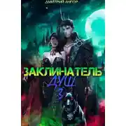 Постер книги Заклинатель Душ 3
