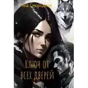 Постер книги Ключ от всех дверей