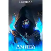 Постер книги Амина