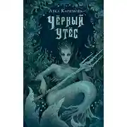 Постер книги Чёрный утёс